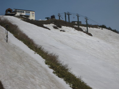 IMG_7588.jpg