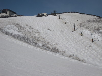 IMG_7593.jpg