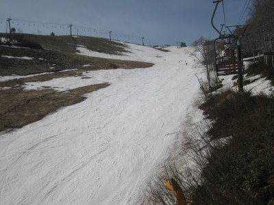 IMG_7595.jpg