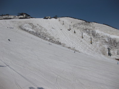 IMG_7674.jpg