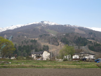 IMG_7688.jpg