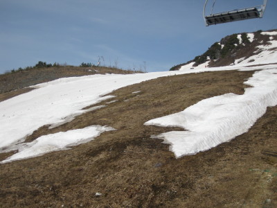 IMG_7698.jpg