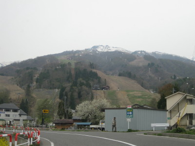 IMG_7728.jpg