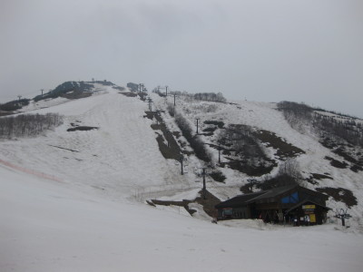 IMG_7735.jpg
