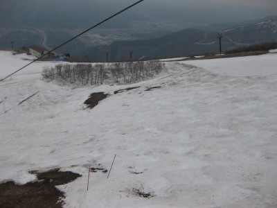 IMG_7741.jpg