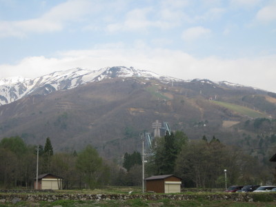 IMG_7786.jpg