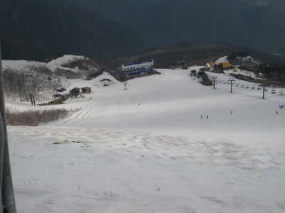 IMG_7798.jpg