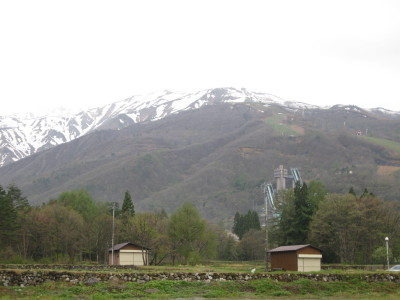 IMG_7807.jpg
