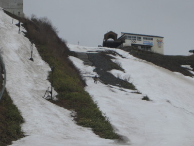 IMG_7827.jpg