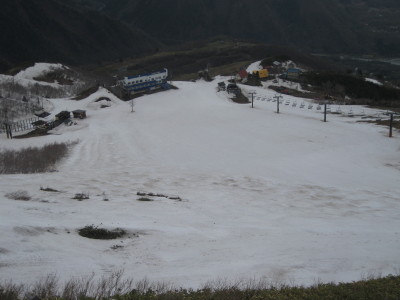 IMG_7833_1.jpg