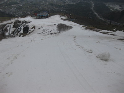 IMG_7836.jpg