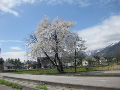 IMG_7873.jpg