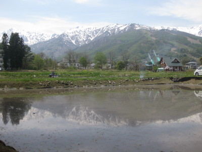 IMG_7896.jpg