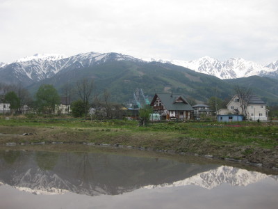 IMG_7902.jpg