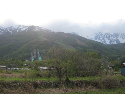 IMG_7909.jpg