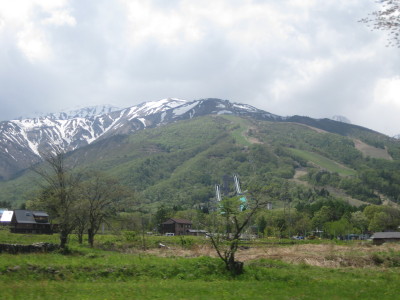 IMG_7917.jpg