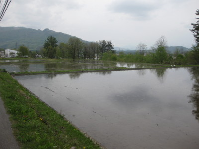 IMG_7925.jpg
