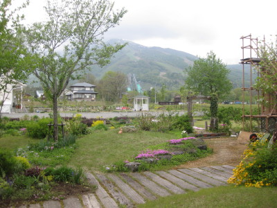 IMG_7926.jpg