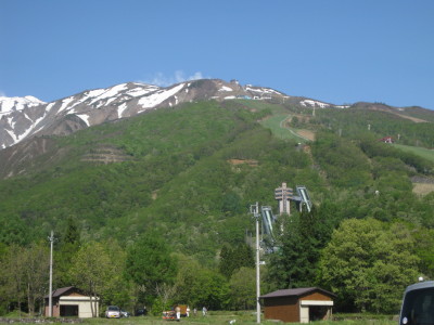 IMG_7927.jpg