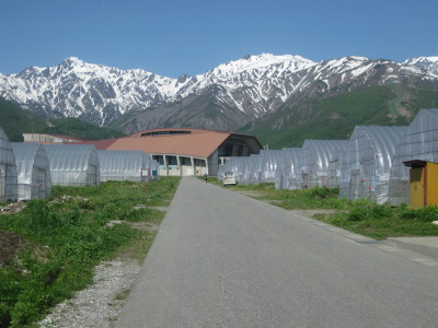 IMG_7930.jpg