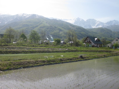IMG_7951.jpg