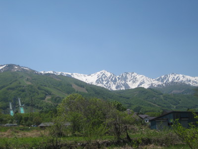 IMG_7957.jpg
