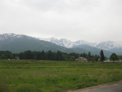 IMG_7961.jpg