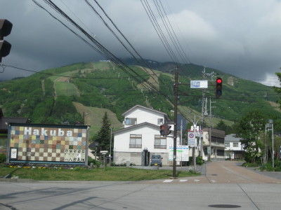 IMG_7965.jpg