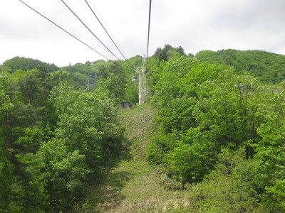 IMG_7967.jpg
