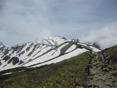 IMG_7983.jpg