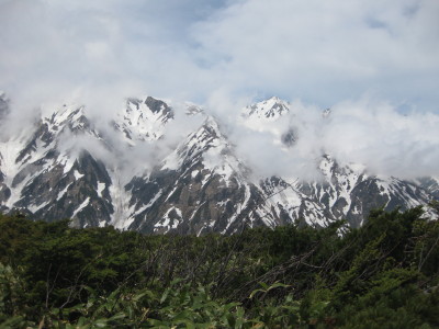 IMG_7986.jpg