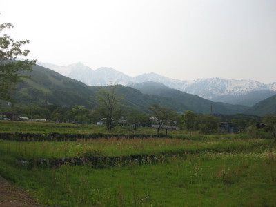 IMG_8000.jpg