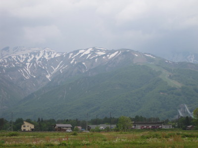 IMG_8005.jpg