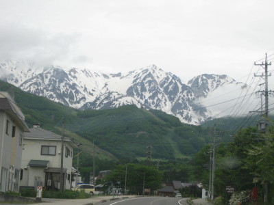 IMG_8013.jpg