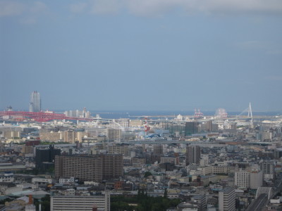 IMG_8091.jpg