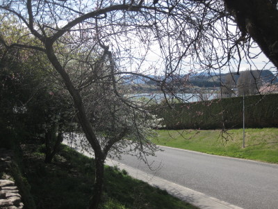 IMG_9448.jpg