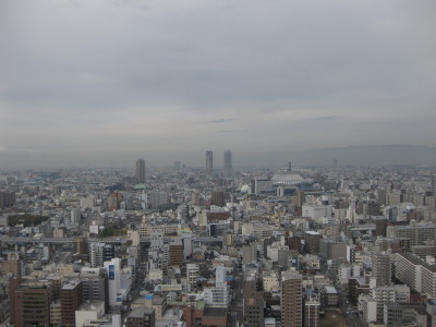 IMG_9944.jpg