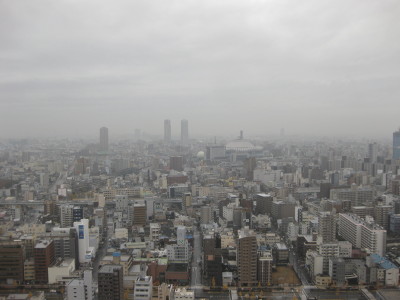 IMG_0061.jpg