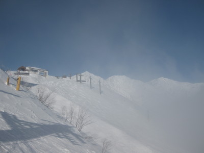 IMG_1254.jpg