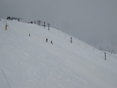 IMG_2889.jpg