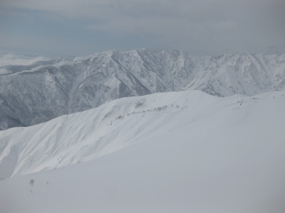 IMG_2892.jpg