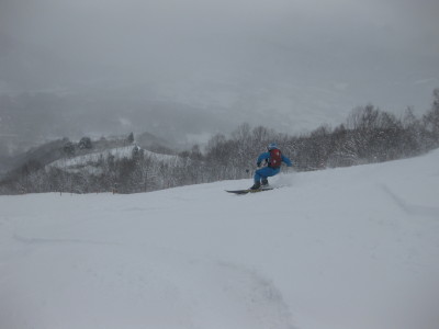 IMG_2982.jpg