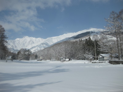IMG_2994.jpg