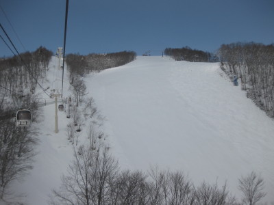 IMG_2999.jpg