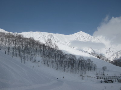 IMG_3040.jpg