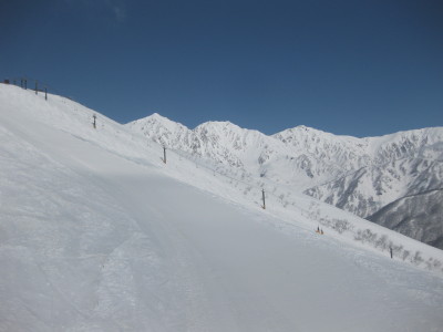 IMG_3384.jpg