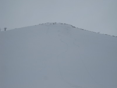 IMG_4086.jpg