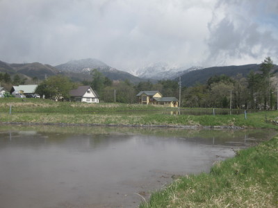 IMG_4468.jpg
