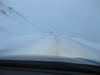 IMG_5695.jpg
