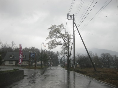0t7u901.JPG